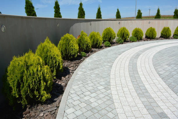 Best Driveway Paving Near Me  in Hallettsville, TX