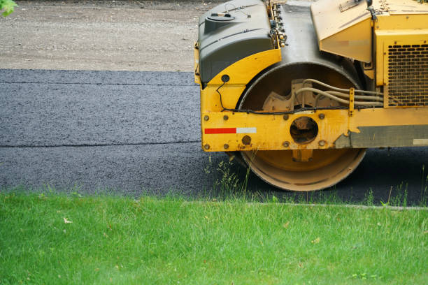 Best Professional Driveway Pavers  in Hallettsville, TX
